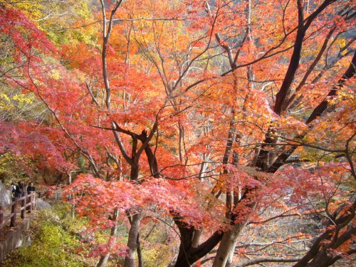 昇仙峡紅葉