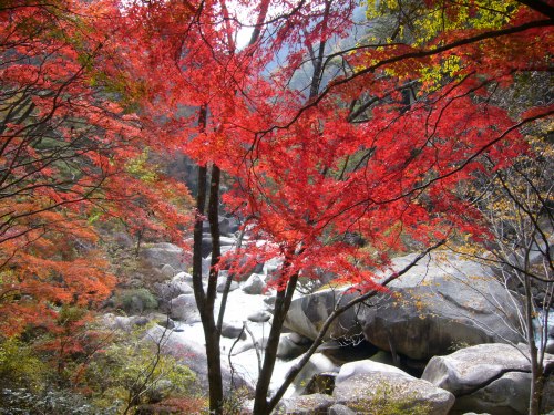 昇仙峡紅葉２