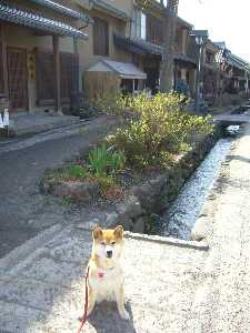 海野宿の町並み