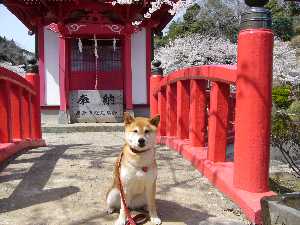 赤い弁天神社