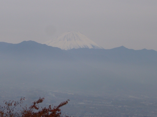 フルーツ公園からの富士山