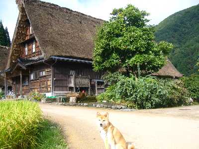 五箇山合掌造りの家