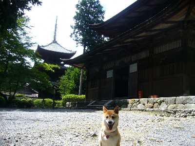 三重の塔