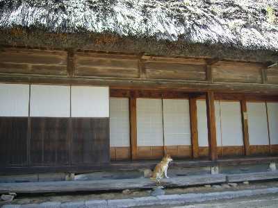 遠山家の縁側