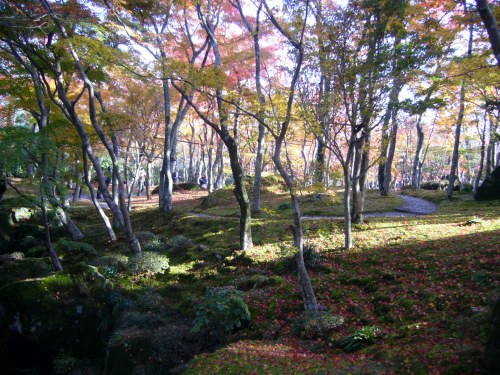 箱根美術館の紅葉