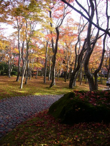 美術館の紅葉