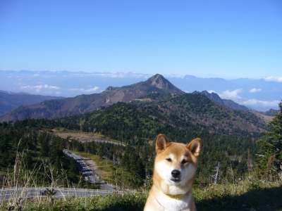 横手山からの眺め