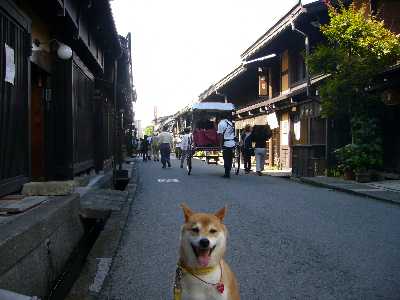 高山の古い町並み