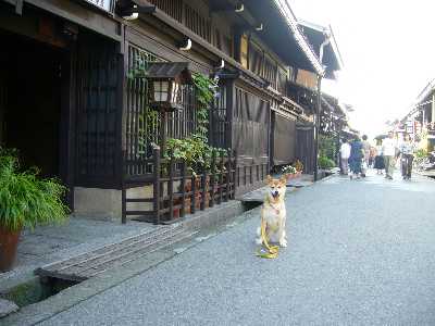 高山町並み