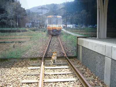 輪島駅の線路