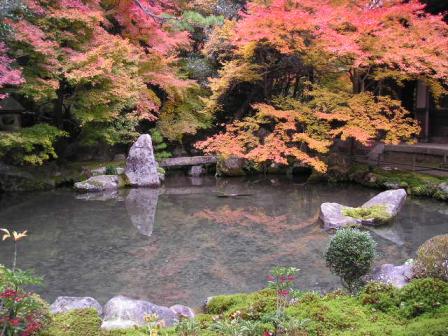 石川丈山作・紅葉の蓮花寺の庭