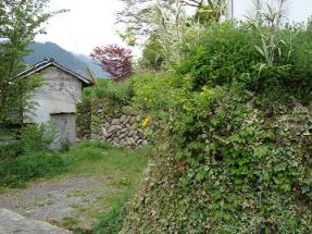 勝山のウラどうり