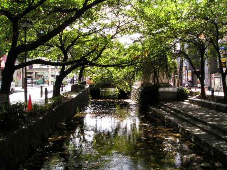 秋を待つ高瀬川