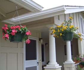 Hanging Flowers