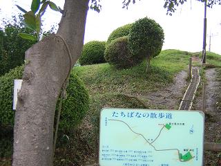DSCN1324.JPG