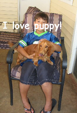 I love Puppy