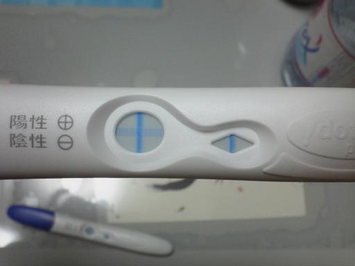 初の妊娠検査薬 凛々ライフ 楽天ブログ