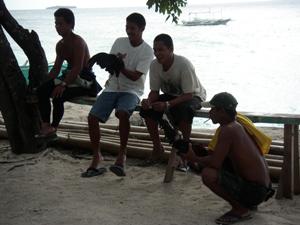 暇そうなニワトリ野郎たち