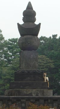 徳川家の墓とネコ