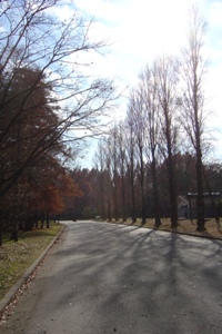 東京のリージェントパーク♪