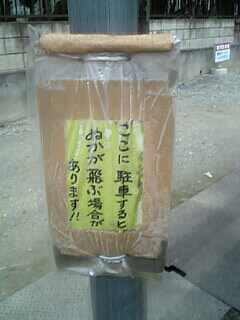 ぬかが飛びます♪