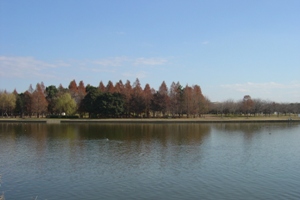 水郷公園