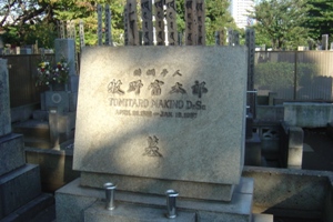 牧野富太郎博士の墓