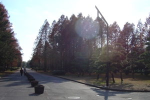 日本のグリーンパーク