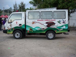 フィリピンの動物救急車