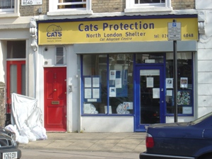 catprotection