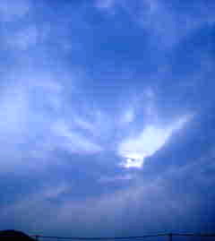 曇天の陽３.jpg