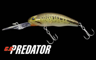 CC PREDATOR