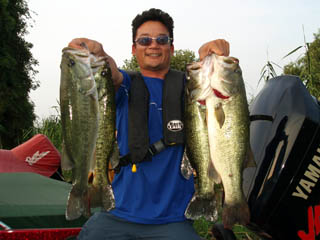 マサシさんフンガー