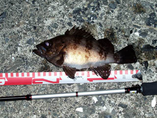 サイズダウン（笑）