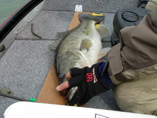 この状態で取ると太さが！！