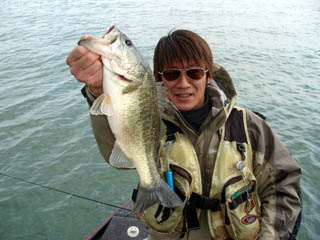 ４２が可愛く見えます