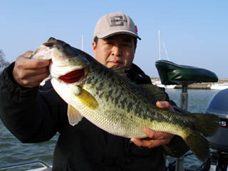 ちょっと越冬バスチック