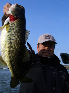 でもエエ感じの体型♪