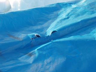 カバー破れました