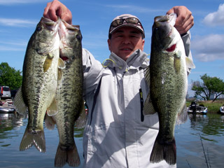 僕もボチボチフンガー