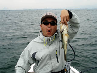 ポストのゲロヤセ君