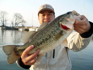 ４５ありました～