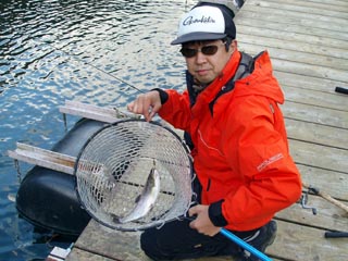 何とアマゴもキャッチされます