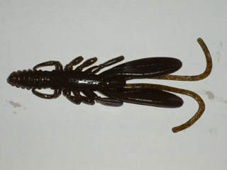 バグアンツ４”