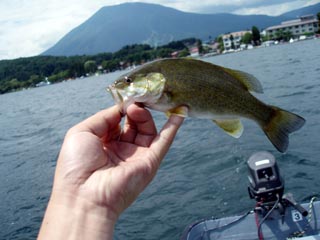 スモールスモール