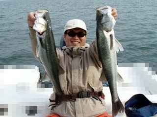 初シーバスプチフンガー