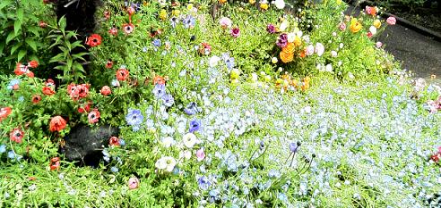 誕生日には花を