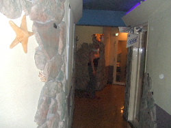 密かにトナカイさん