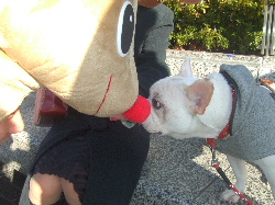 ワンワンと仲良し