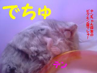 テンでちゅ.JPG